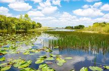 Everglades Small Group Express from Fort Lauderdale +Airboat Ride