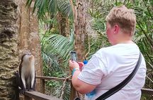 Lekki Conservation Centre