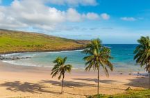 Full Day Private Tour: Factory of the Moai the stone giants
