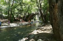 Full Day Troodos Guided Safari Tour with Pick Up