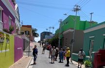  Day Tour in Robben Island, Bo-Kaap and Table Mountain 