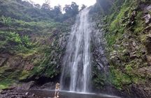 Materuni Waterfalls and Coffee Tour in Moshi