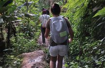 Materuni Waterfalls and Coffee Tour in Moshi