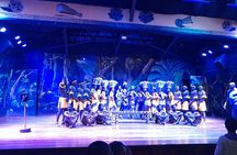 Safari Park dinner with live band music and cat dance show.