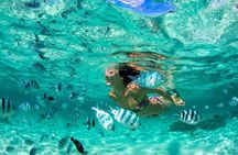 Phuket Coral Island Private Snorkeling Adventure All Inclusive