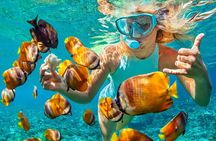 Phuket Coral Island Private Snorkeling Adventure All Inclusive