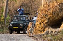Jim Corbett Jeep Safari - Wildlife Adventure in National Park