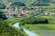 Trentino Wine Journey: Organic Vineyards & Local Delights