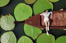 Phuket Giant Water Lilies & Temple Tour - Private & All-Inclusive