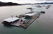All Inclusive Zipline and Local Floating Farm Tour in Phuket