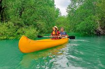 All Inclusive Zipline and Local Floating Farm Tour in Phuket
