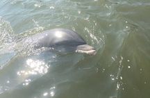 Best of Marco Island Tour