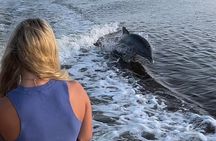 Private Best of Marco Island Tour