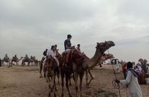 Discover The Essentials Of Egypt ' Cairo & Giza & Alexandria '