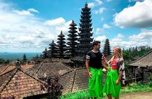 Bali Best Of Ubud Tour Private and All Inclusive
