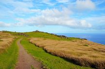 Half Day Private Tour: Rano Kau and Orongo the City of Kings