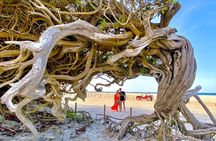 Private buggy tour along the east coast of Jericoacoara