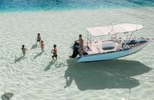 Private Discovery of the Marine Fauna of Moorea