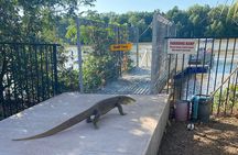 The Croc Bus to the Famous Jumping Crocodile Cruise
