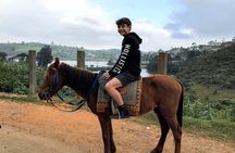 4-Hour Horse Riding in Nuwara Eliya