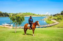 4-Hour Horse Riding in Nuwara Eliya