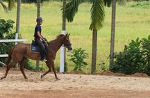 4-Hour Horse Riding in Nuwara Eliya