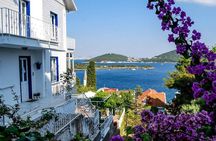 Istanbul Princes Island Tour with Lunch & Hotel Transfer