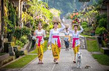 Bali Cultural Heritage Bamboo Forest Tour (Private All Inclusive)