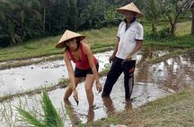Bali Cultural Heritage Bamboo Forest Tour (Private All Inclusive)