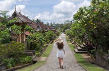 Bali Cultural Heritage Bamboo Forest Tour (Private All Inclusive)