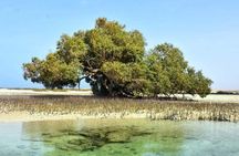 Wady Elgemal National Park Marsa alam 