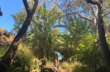  Half Day Private Tour: Caves and Volcanic Refuges