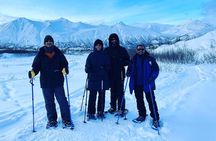 Castner Glacier Ice Cave Adventure from Fairbanks 