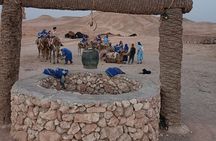 Day in the Agafay Desert by Quad and Camels with Dinner