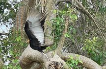 Magdalena River Safari - 6 Hours