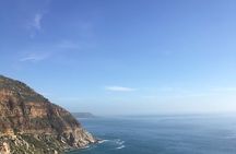  Cape Point Full Day Tour