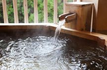 Full-Day Enoura Observatory and Hakone Hot Spring Private Tour