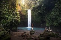 Blue Lagoon Snorkeling and Lunch with Private Transfer 