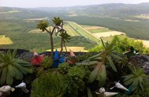 Full-Day Small-Group Tour in Istria