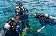Marmaris Full Day Scuba Diving Two Dives With Lunch Hotel pickup