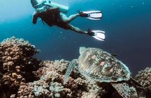 Marmaris Full Day Scuba Diving Two Dives With Lunch Hotel pickup
