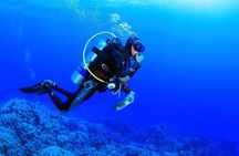 Bodrum Scuba Diving Tour With Free Hotel Transfer By Locals