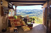 Istria Private Day Trip
