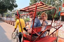 Full-Day Private Old and New Delhi Combo Tour