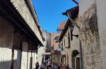 Beyond the Old Town -Tallinn's Hidden Gems by Car