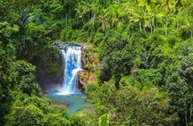 Ubud: Monkey Forest, Jungle Swing, Rice Terrace, and Water Temple