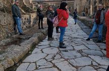 Private Walking Tour through the Historical City of Herculaneum