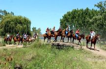 Traditional Gaucho Festival Full Day Tour from Buenos Aires