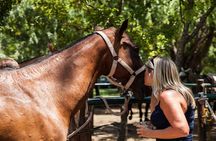 Traditional Gaucho Festival Full Day Tour from Buenos Aires