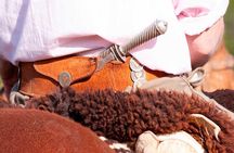 Traditional Gaucho Festival Full Day Tour from Buenos Aires